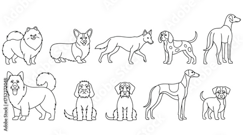 Vector art of a delightful collection of dog breeds in a charming line art style, , showcasing the unique characteristics of each canine companion in a simple yet elegant design