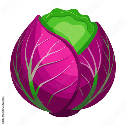 Vibrant purple cabbage with fresh green core, a colorful culinary delight ready for healthy recipes or creative food art, promoting wellness and artistic dishes