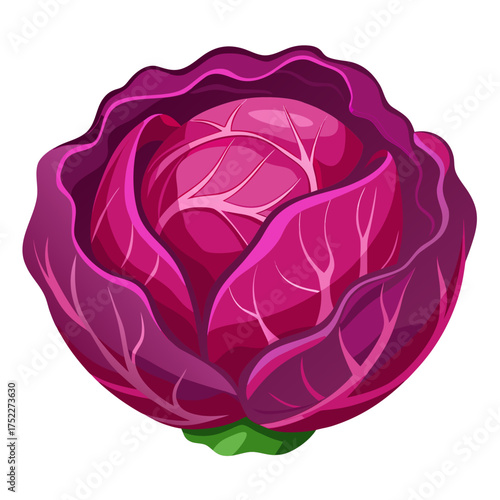 Vibrant red cabbage, a nutritious vegetable symbol of healthy eating and fresh produce from the farm, ideal for culinary creations and plant-based diets, with artistic detail