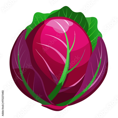 Vibrant red cabbage with lush green leaves, a healthy and fresh vegetable, perfect for culinary creations, nutrition focused designs, and promoting farm-fresh produce, originally vector