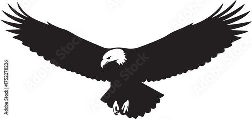 Majestic bald eagle in silhouette flight graceful wings spread wide bird of prey