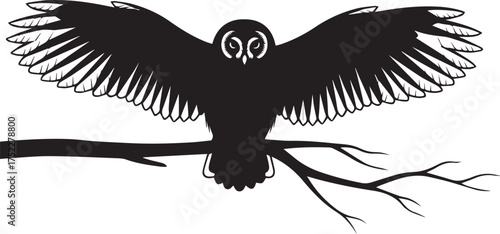 Silhouette of an owl with wings spread wide perched on a tree branch at night