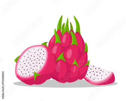 Red dragon fruit. Whole bright summer tropical Dragon fruit or Pitaya, half and piece for healthy food. Vector illustration isolated on white background.