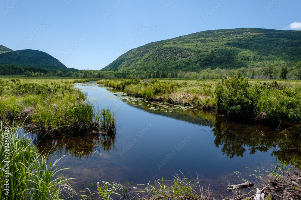 Fototapeta premium Kleiner ruhiger Fluss im Nationalpark