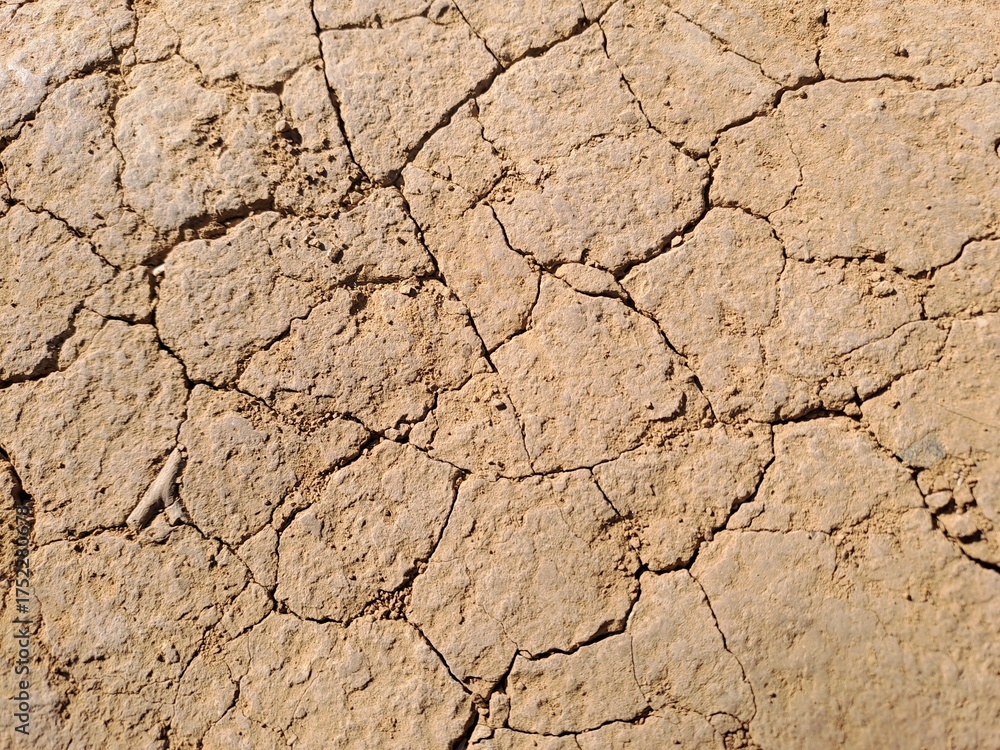 Fototapeta premium dry cracked earth
