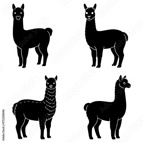 Four black silhouette style llamas standing in various poses on a white background illustration art