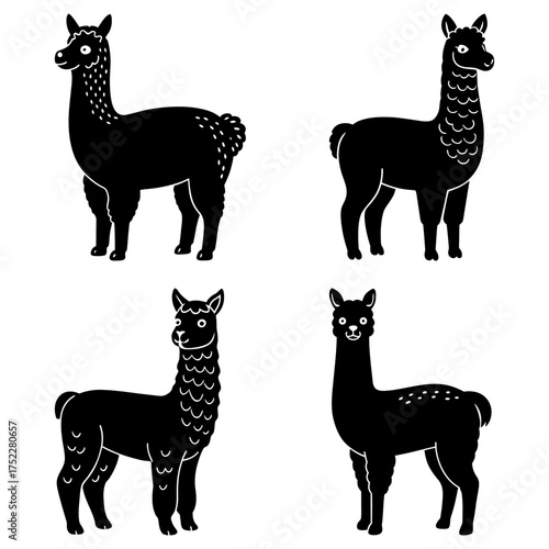 Four black silhouette illustrations of llamas in different poses standing on a white background art design