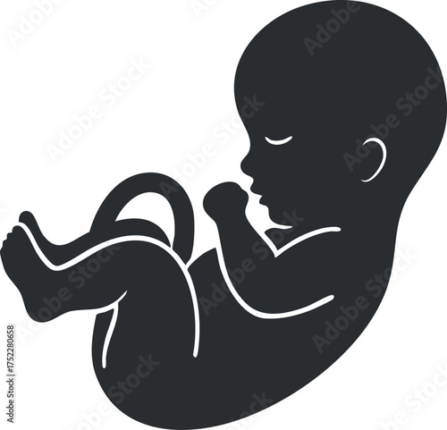 Silhouette illustration of a fetus in the womb representing pregnancy and human development.