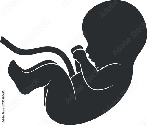 Silhouette of a fetus in the womb representing pregnancy and maternal health.