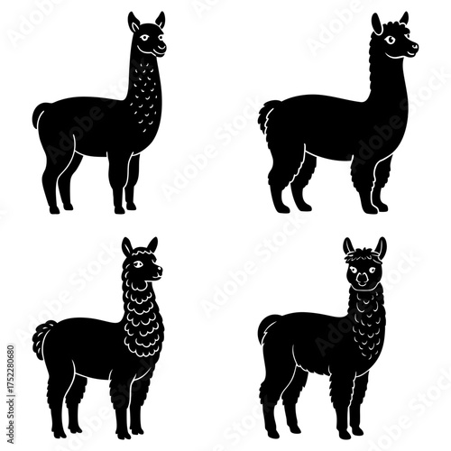 Four black silhouette illustrations of llamas standing in various positions on a white background