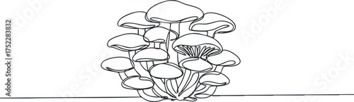 A detailed black and white illustration of various mushrooms showcasing their unique shapes and features.