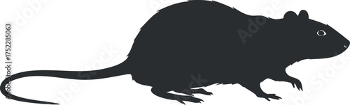 Silhouette of a rat, showcasing its distinctive features and outline for illustrative purposes.