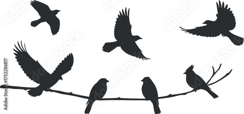 A collection of bird silhouettes perched and flying above a branch in a natural setting