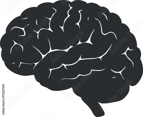 Illustration of a human brain representing cognition and mental processes in psychology and neuroscience.