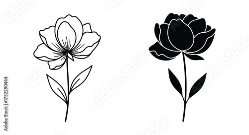 Elegant floral illustration featuring two delicate blooms in black and white