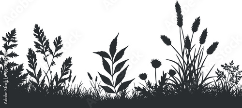 A detailed silhouette of various plants and grasses against a white background showcasing nature's diversity.