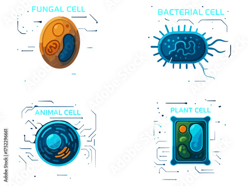 A modern educational illustration showing four types of cells—fungal, bacterial, animal, and plant—depicted in a vibrant vector style with glowing digital effects.