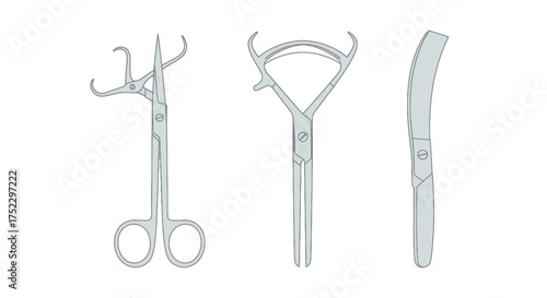 Surgical Instruments: Various Stainless Steel Medical Tools.