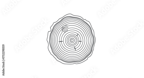 Tree Rings Cross Section: Detailed Annual Growth Rings Illustration.