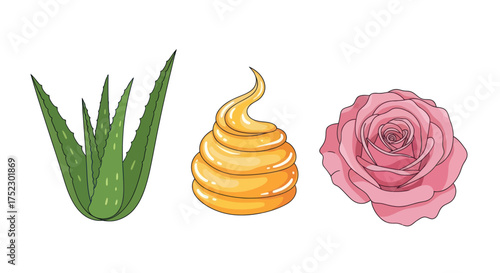 Aloe Vera Plant Honey Swirl and Pink Rose Flower Illustration.