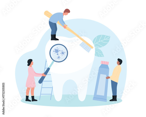 Teeth brushing, oral hygiene vector illustration. Cartoon tiny people holding toothbrush and healthy toothpaste to clean giant human tooth, woman examine dental germs in mouth under magnifying glass