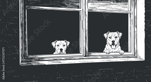 Two curious dogs looking out the window, showcasing companionship and playfulness.