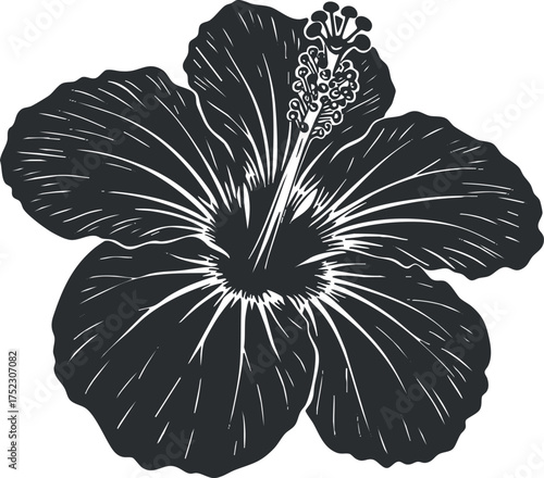 Stylized black and white illustration of a hibiscus flower with detailed petals and stamen.