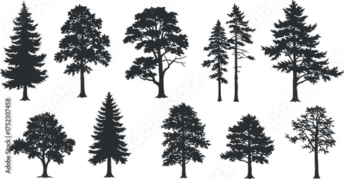 A collection of various tree silhouettes representing different species and shapes.