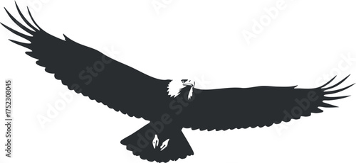 A striking silhouette of an eagle in flight with outstretched wings against a plain background.