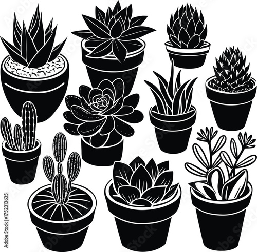 Silhouette couple under cherry blossoms romantic night scene delicate floral beauty isolated on transparent background