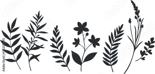 A collection of elegant silhouette illustrations of various leaves and plants for decorative purposes.