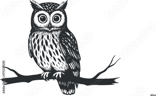 A detailed illustration of an owl perched on a branch showcasing intricate feather patterns.