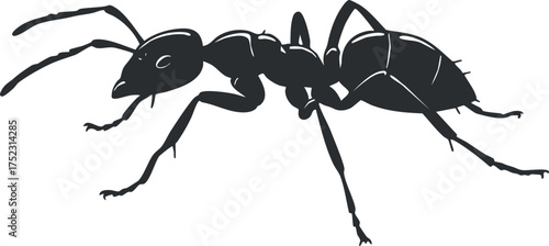 Detailed illustration of an ant showcasing its anatomy and features in a nature context.