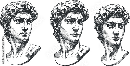 Detailed illustration of three views of a classic sculpture bust depicting David.