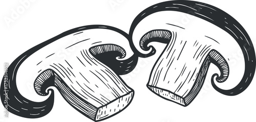 Two hand-drawn mushrooms illustrated in a sketch style showcasing their unique shapes and textures.