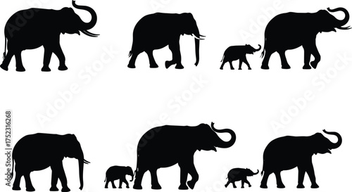 Elephant silhouette vector illustration, wildlife family group graphic, black animal design with baby and adult elephants, nature species pose for safari theme