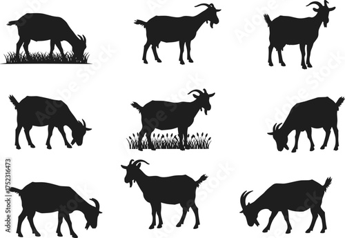Goat silhouette vector set, grazing and walking poses, black farm animal icons, livestock illustration, countryside wildlife, horned goat shapes, nature grass elements