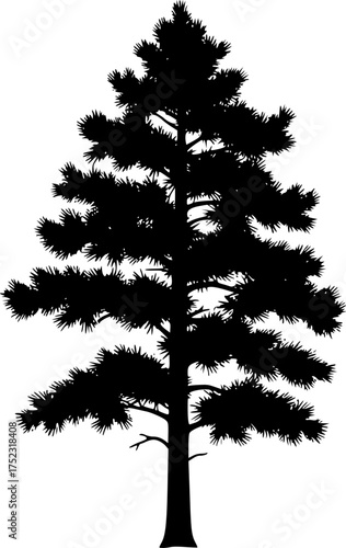 Ponderosa pine silhouette. This image shows the silhouette of a ponderosa pine tree, known for its towering stature and evergreen foliage. Vector clipart illustration design