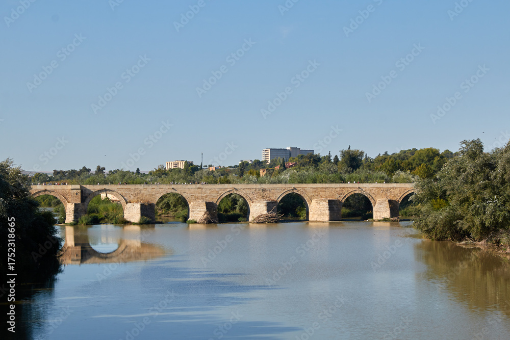 Fototapeta premium Roman bridge over the Guadalquivir River in Córdoba, Spain