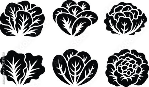 Leafy vegetable silhouette set, cabbage and lettuce vector icons, botanical food illustration, black and white organic farming graphic, flat vector illustration