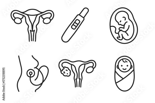Pregnancy and reproductive health icons set with fetus, baby, and test symbols