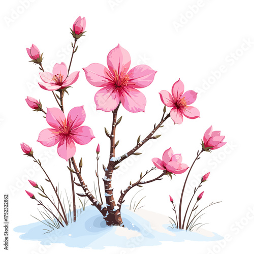 Pink cherry blossom branch with delicate spring flowers