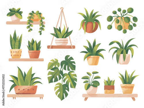 Collection of various potted houseplants in watercolor style