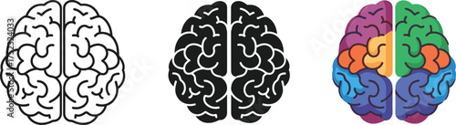 Brain illustration in simple line art style for medical design concepts