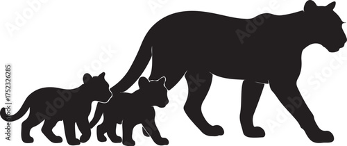Black panther and cubs walking big cat feline