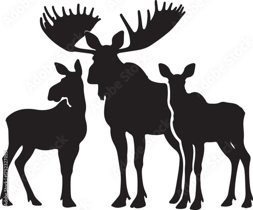 Moose family silhouette bull calf