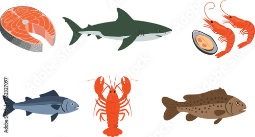 Seafood variety, salmon steak, shark, lobster, shrimp, mussel, fish illustration, marine set, ocean bounty, vector graphic, culinary icon