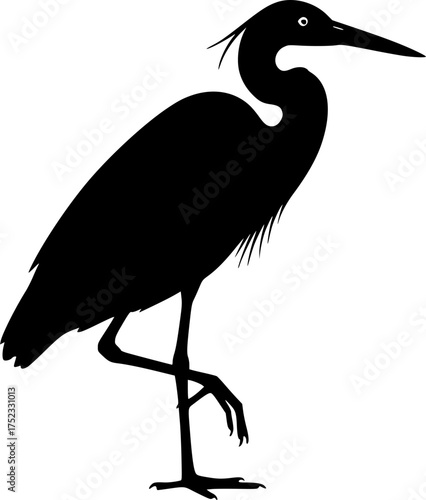 Blue heron silhouette. This image shows a black silhouette of a blue heron standing on one leg with its head slightly turned. Vector clipart black illustration design.