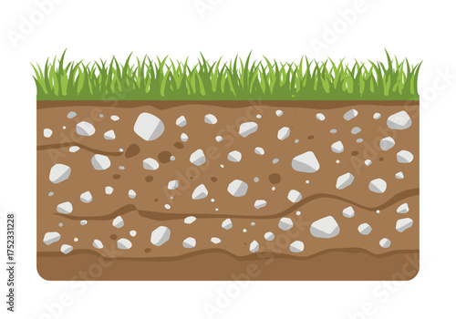 Soil Profile with Grass and Rocks Illustration.