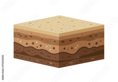 Soil Layers Cross-Section: A Detailed View of Earths Composition.